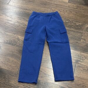 Aritzia Byron blue sweatpants